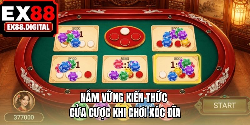 Nắm vững kiến thức cửa cược khi chơi xóc đĩa