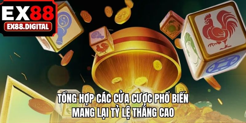 Tổng hợp các cửa cược phổ biến mang lại tỷ lệ thắng cao